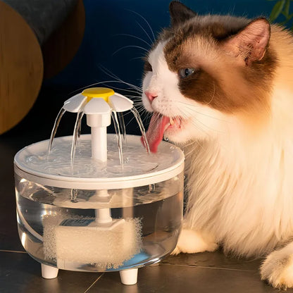 La Fontanella che fa bere di più il tuo gatto e previene i problemi renali