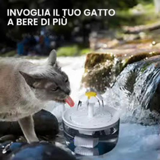 Fontanella gatto senza testo inglese