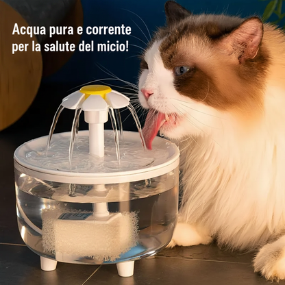 Fontanella gatto slogan italiano