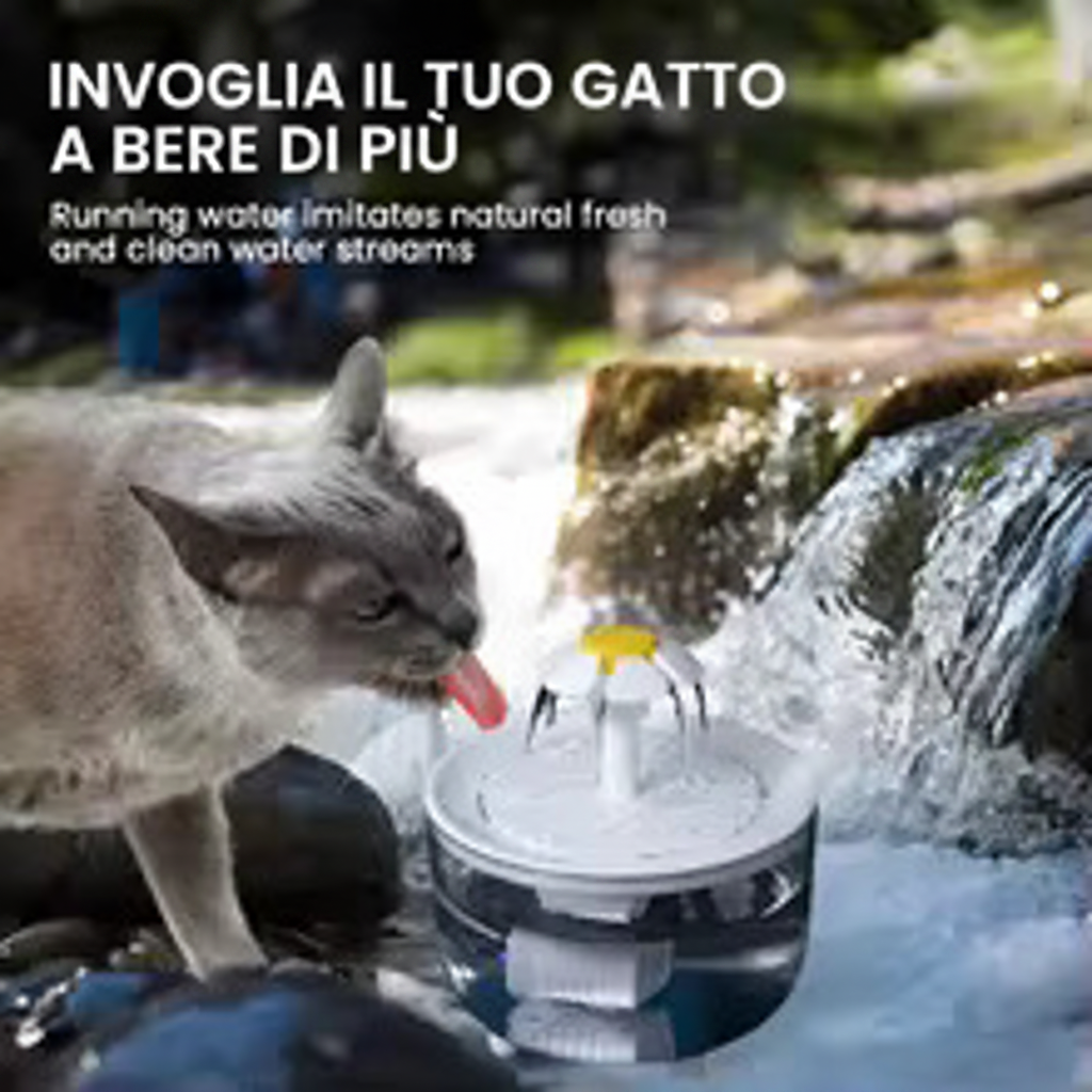 Fontanella gatto stampatello italiano