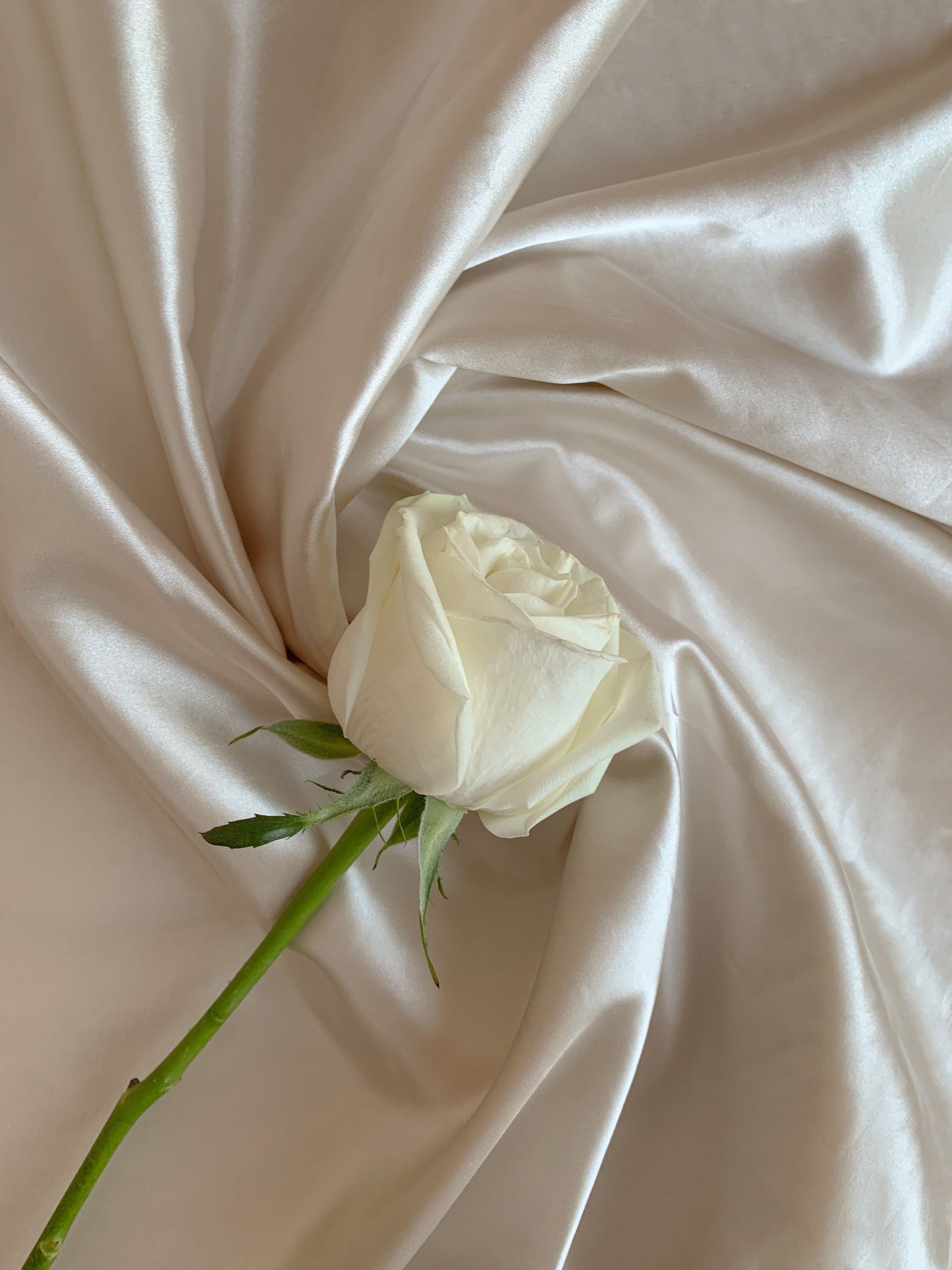 100% Natural Mulberry Silk Pillowcase with Hidden Zipper Double Sided Pure Silk Pillow Case Touch Soft &Cool Suitable for Summer