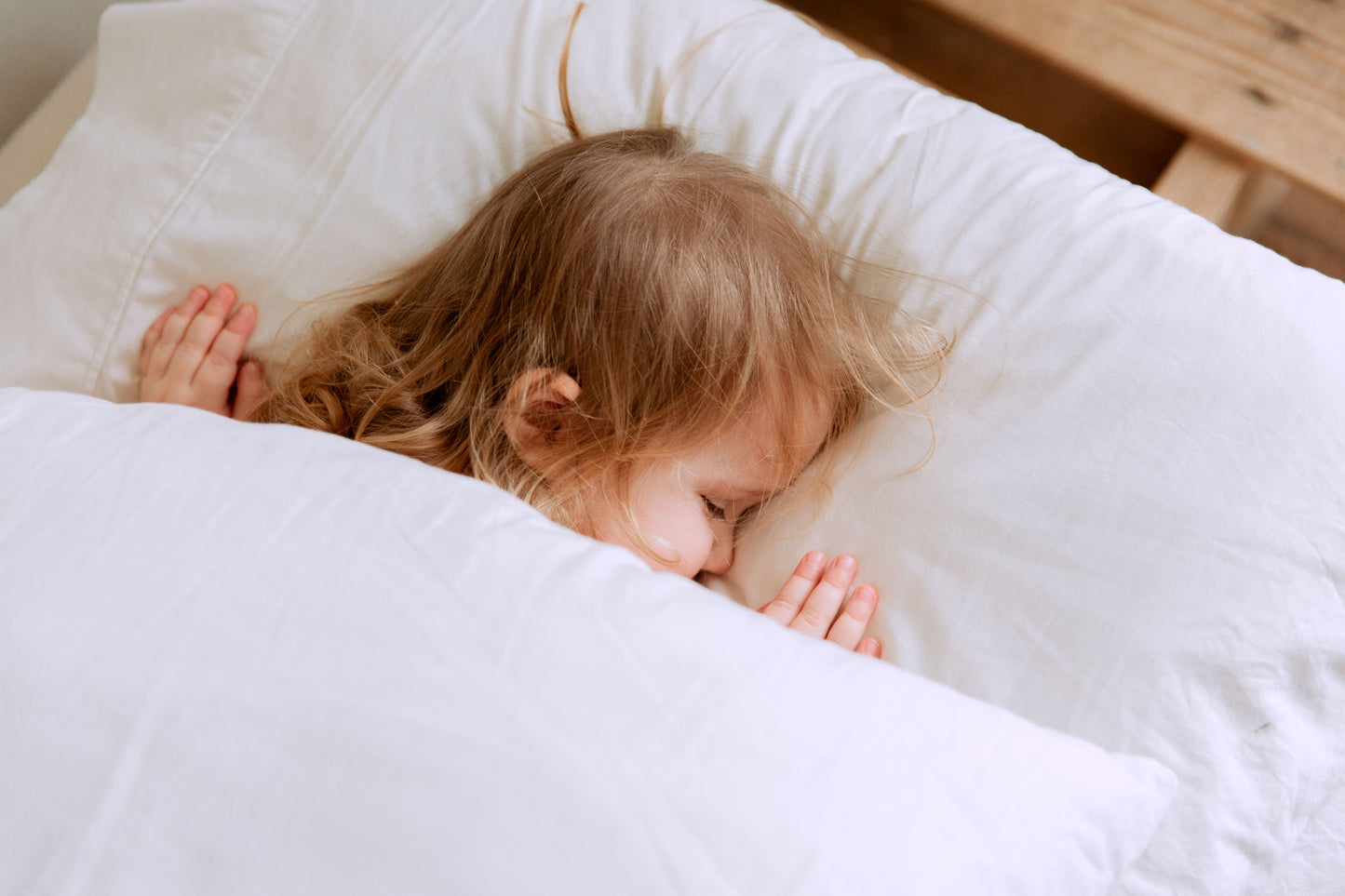 100% Natural Mulberry Silk Pillowcase with Hidden Zipper Double Sided Pure Silk Pillow Case Touch Soft &Cool Suitable for Summer