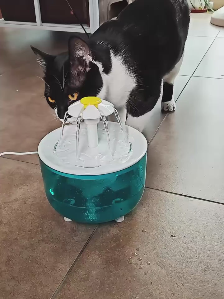 La Fontanella che fa bere di più il tuo gatto e previene i problemi renali