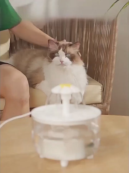 La Fontanella che fa bere di più il tuo gatto e previene i problemi renali